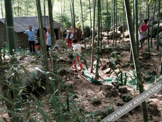 Шанграо: Sanyingshan Yi Inn