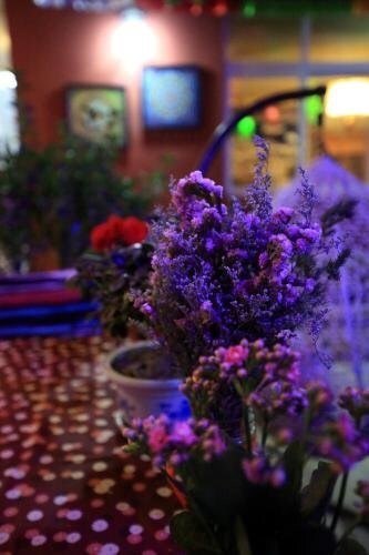 Шангри-Ла: Zangqing Space Guesthouse