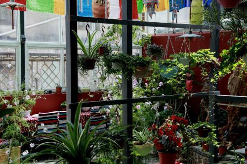 Шангри-Ла: Zangqing Space Guesthouse