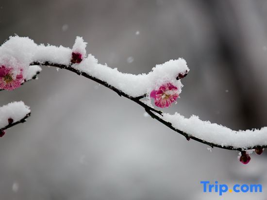 Харбин: Yabuli Chengyouyou Ski Holiday Villa