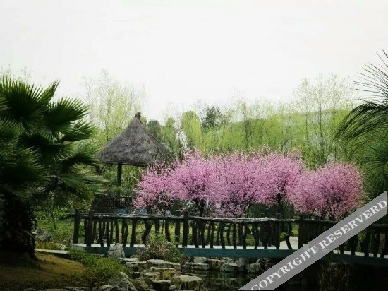 Чунцин: Pingye Garden Hotel