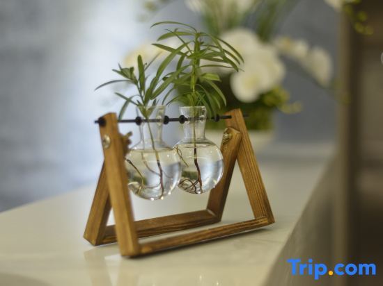 Чунцин: Home Inn (Chongqing Jiefangbei Jiaochangkou Metro Station)