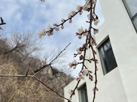 Пекин: Yuexi Bieyuan