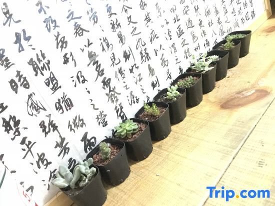 Пекин: Paoju Factory Youth Hostel (Beijing Summer Palace Subway Station Branch)