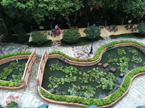 Чжаоцин: Dinghushan Science and Technology Expert Club
