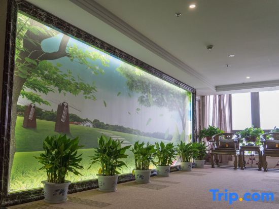 Шанхай: Shanghai Wenfei Boutique Hotel