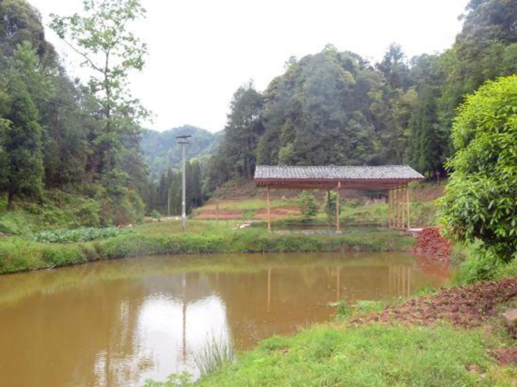 Чунцин: Lishuwan Resort