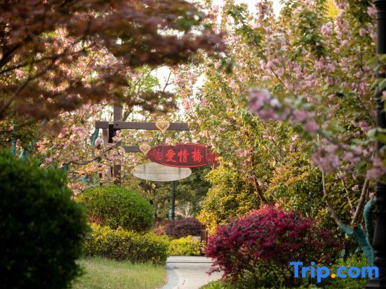 Тайчжоу: Pengxin International Hotel