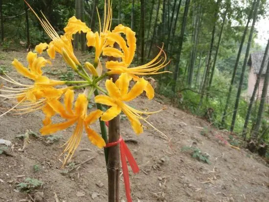 Хэнъян: Mingjing Mountain House on the halfway of Hengshan Mountain