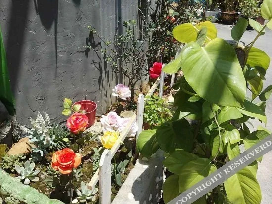 Хойчжоу: Xiongbaba Inn