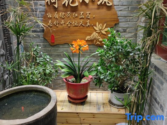 Пекин: Shao's Courtyard Hostel