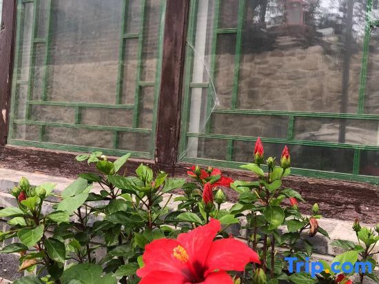 Пекин: Shao's Courtyard Hostel