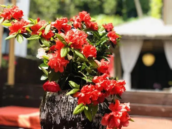 Ханчжоу: Fushengtang Lingyin Ferry Homestay (West Lake Lingyin Temple Branch)