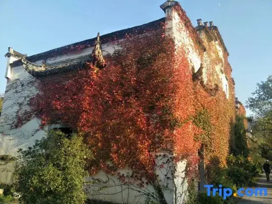 Хуаншань: Yujian Xiuli Inn Hongcun