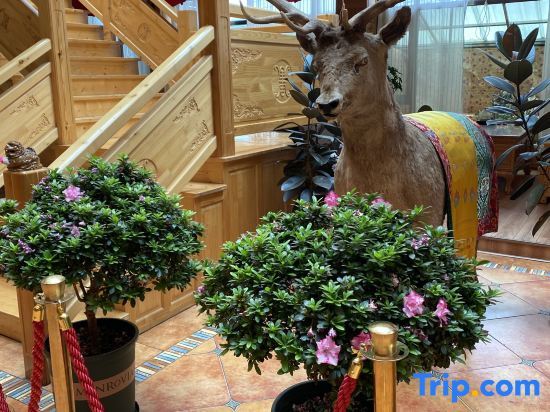 Нгава: Duomei Linka Guesthouse