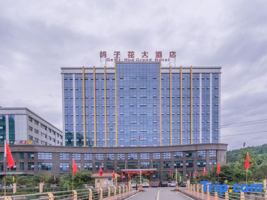 Яань: Gezi Hua Grand Hotel