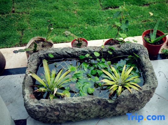 Тайчжоу: Xianju Binfeng Yazhu Zhuxi Fishing Leisure Holiday Homestay (Shenxianju Branch)