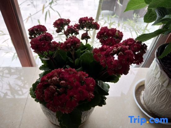 Тайчжоу: Xianju Binfeng Yazhu Zhuxi Fishing Leisure Holiday Homestay (Shenxianju Branch)