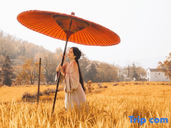 Хуаншань: Hongcun Tachuan Academy · daotingxi zhumeisu