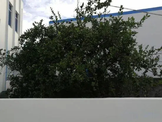 Чжоушань: Huaniao Island Banshan Banhai Hostel