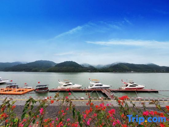Цзиньюань: Zhenyangxia Scenic Area Theme Inn