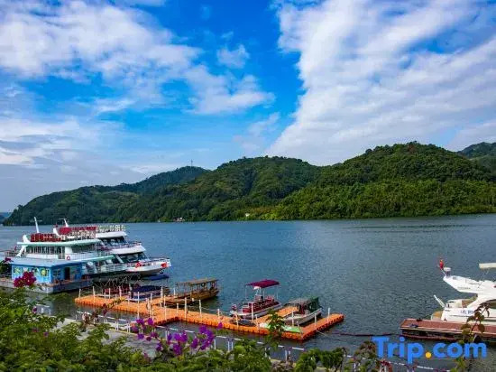 Цзиньюань: Zhenyangxia Scenic Area Theme Inn