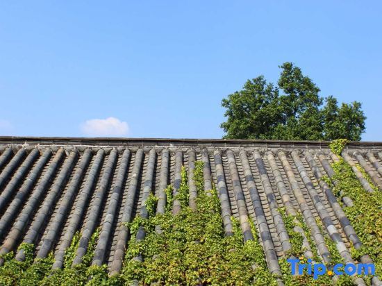 Цзиньюань: Zhenyangxia Scenic Area Theme Inn