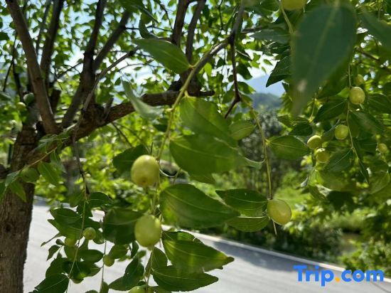 Луань: Tiantangzhai Yuexia Mountain Residence courtyard Guesthouse