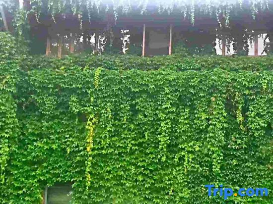 Хуаншань: Caiyunjian Boutique Inn