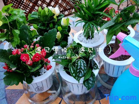 Бэйхай: Weizhou Island Manyue Homestay (Shiluokou Beach Shop)