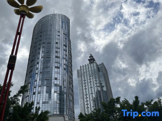 Линьцан: Yulong Business Hotel