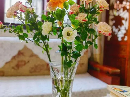 Сучжоу: Jiusu Shanshuijian Guesthouse