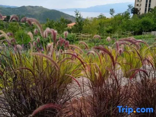 Юйси: Fuxian Lake Yijing Homestay (Chengjiang Sunshan Town Square)