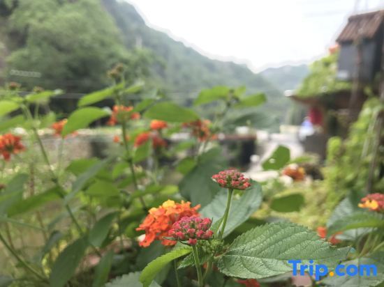 Вэньчжоу: Yandangshan Longqiu Hostel