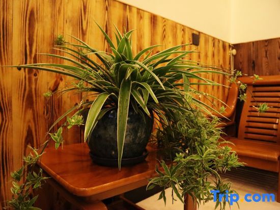 Ханчжоу: Qingdeng Mountain House (Lin'an Baima cliff scenic spot store)