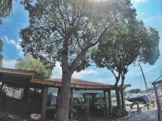 Шанхай: Rhine Dream Yacht Club