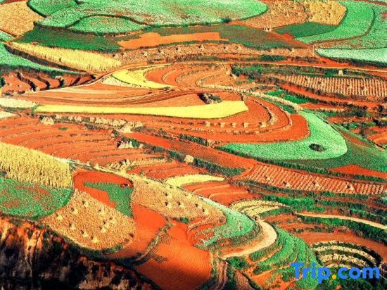 Куньмин: Red Clay People's Hotel