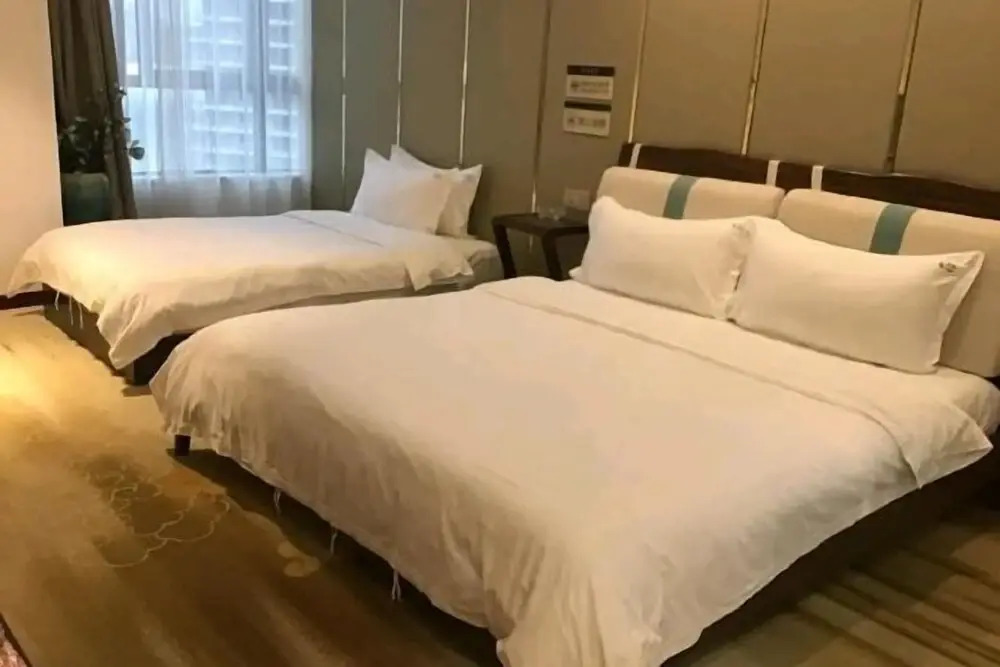 Чунцин: Starpai · Flower Hotel
