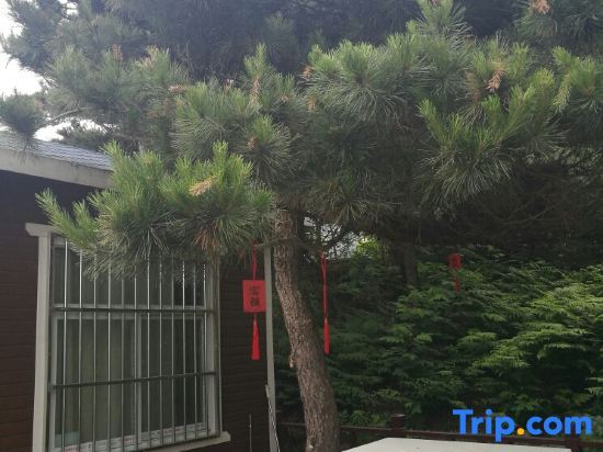 Ляньюньган: Yujian Xiyou Hostel