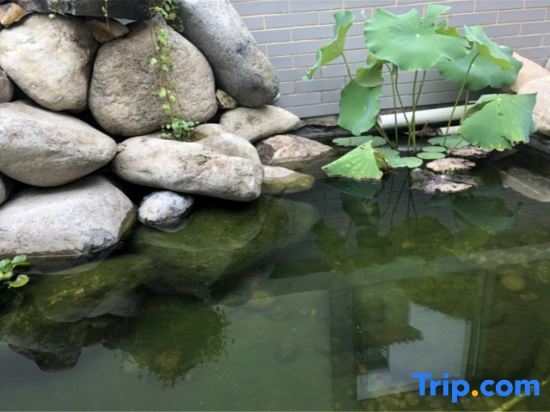 Тайчжоу: Rooftop Flower Stream Ink B&B