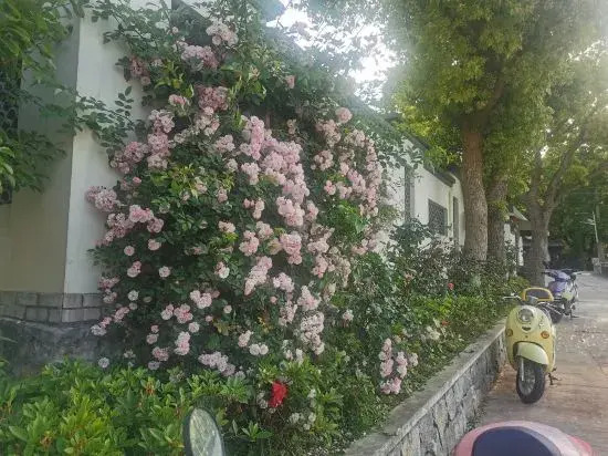Чжоушань: Taohua Island Taoyuanli Homestay