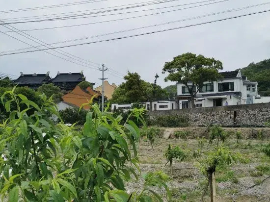 Чжоушань: Taohua Island Taoyuanli Homestay