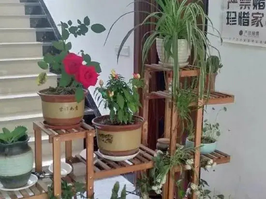 Тайчжоу: Xianju Banxilou House