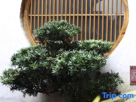 Хуаншань: Bushe Wenyue Guesthouse