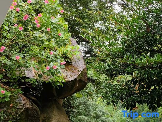 Хэнъян: Nanyue Hengshan Qingxi·Hidden Mountain Guesthouse