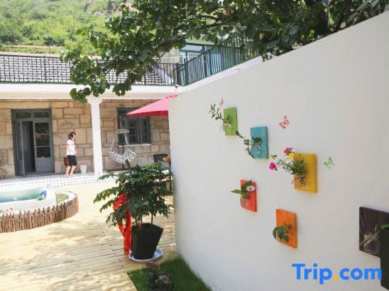 Ляньюньган: Lianyungang flower and fruit homestay
