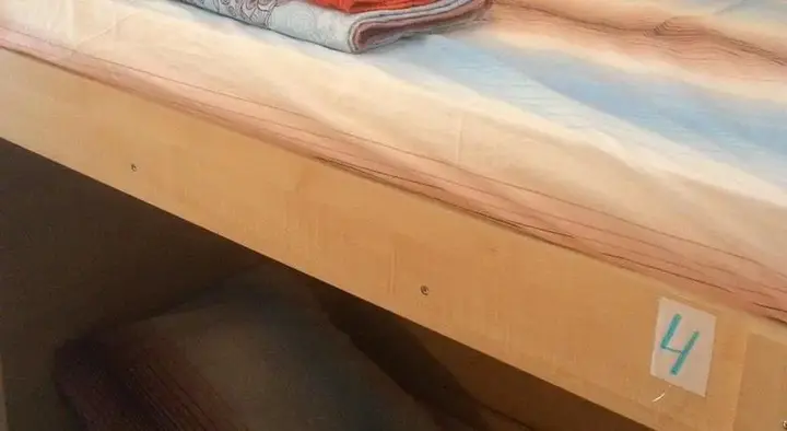 Красноярск: Alaska Hostel