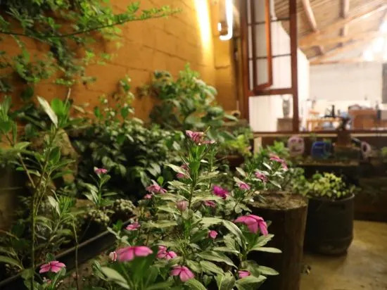Пучжэхэй: Water Lotus Courtyard Inn (Puzhehei Scenic Area)