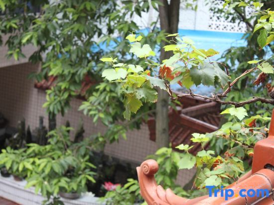 Чунцин: Chongqing Jinhu Motel