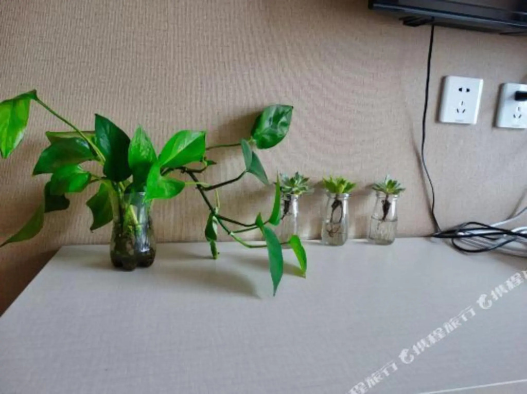Юйси: Yiyang Boutique Hotel